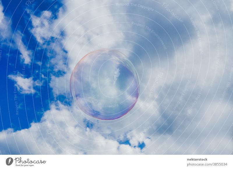 Transparent Bubble on Picturesque Sky sky bubble cloudscape sunny weather cumulus blue white clarity lightness airiness transparent dream dreamy see-through