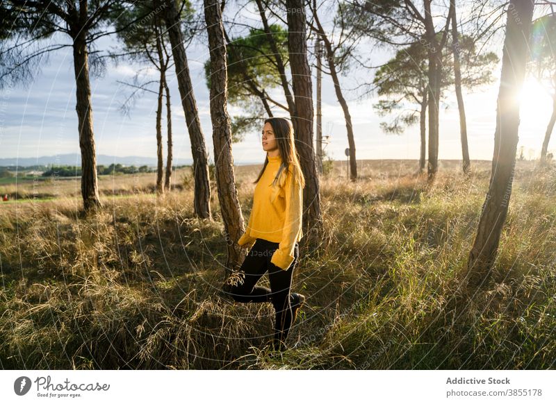 Woman standing in field at sunset woman carefree freedom enjoy smile countryside female outfit casual meadow rural area active happy autumn fall season lady