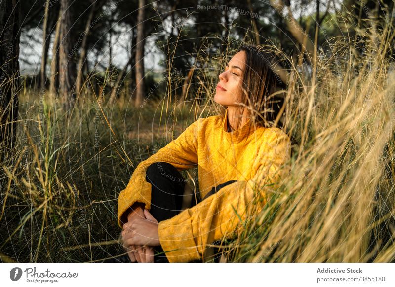Peaceful woman enjoying sun in nature dreamy sunset embracing knee countryside field carefree daydream female relax calm meadow sit grass tender freedom embrace