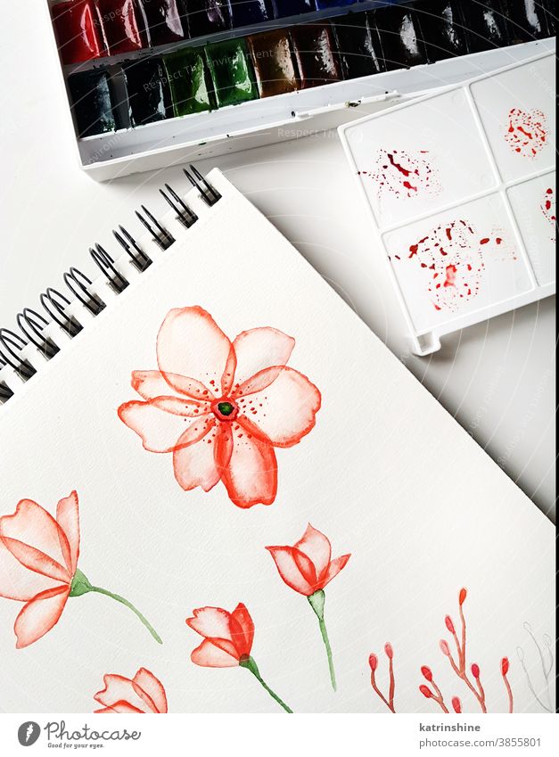 Drawings, palette and watercolor paints Watercolors drawing flower top view red Bright Workplace artist Artistic Paper Hand Creativity Table Education Handmade