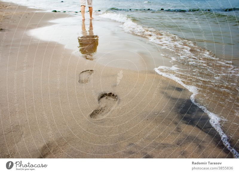 woman's footprints on the seashore leg sand water summer walk beach coast wave barefoot female lifestyle person young relax people girl nature seaside step