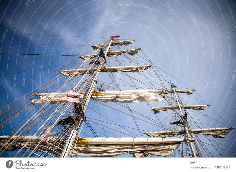 the dream of sailing. Sailing ship Pole Navigation Exterior shot Deserted Sky Vacation & Travel Freedom Sailboat Yacht Ocean Day Blue sky Far-off places