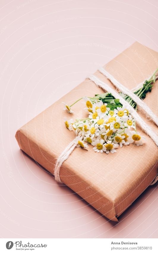 Eco friendly gift wrapped in brown paper wrapping flowers chamomile holiday box present celebration surprise handmade creative mothers day zero waste wedding