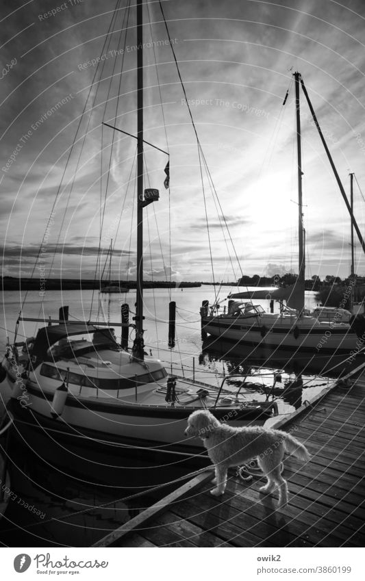 mind Water Beautiful weather Sky Clouds Horizon Weather Yacht Sailboat Harbour Jetty Sport boats Navigation Dark Safety Calm Idyll Contentment Peaceful