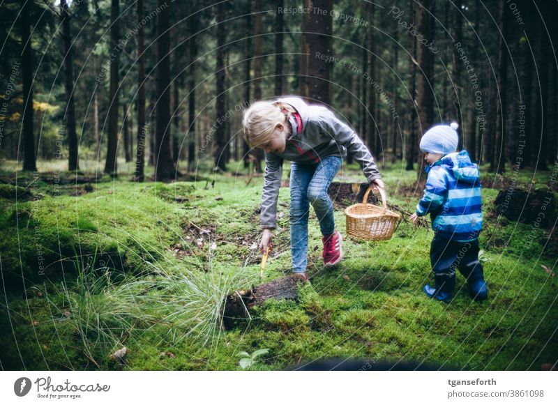Two children picking mushrooms in the forest Forest Child Exterior shot Autumn Nature Infancy mushroom pick go mushrooming Moss Carpet of moss Colour photo