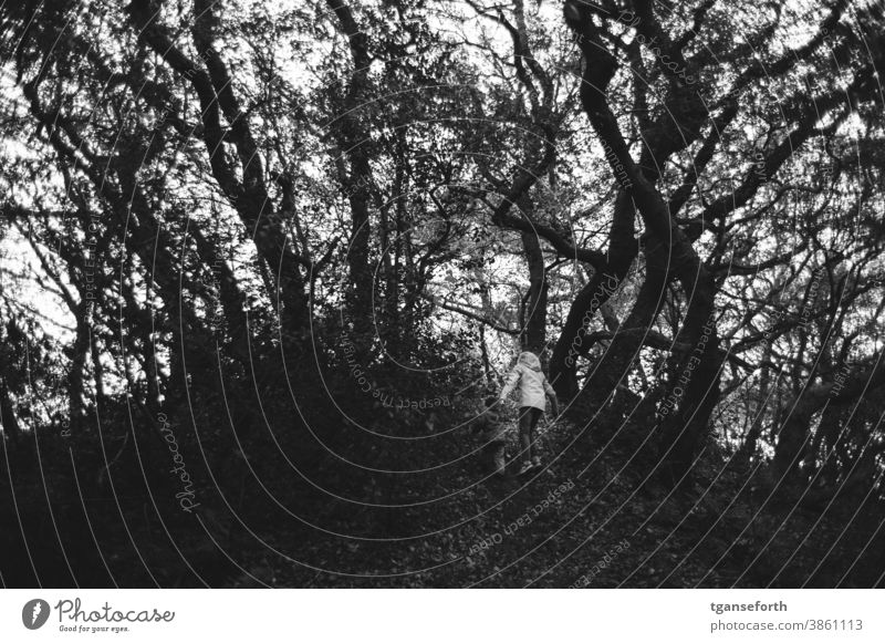 Children climb a hill in the forest Forest Tree Creepy Dark Black & white photo Exterior shot children Sombre mood Threat Day Autumn Fear Contrast Loneliness