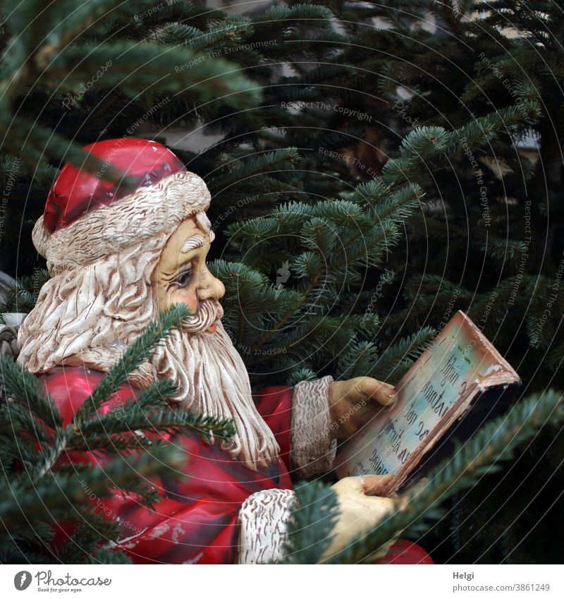 From out of the woods I come here... - Decorative Santa Claus sits between fir trees and holds a book in his hands Christmas Advent christmas time Decoration