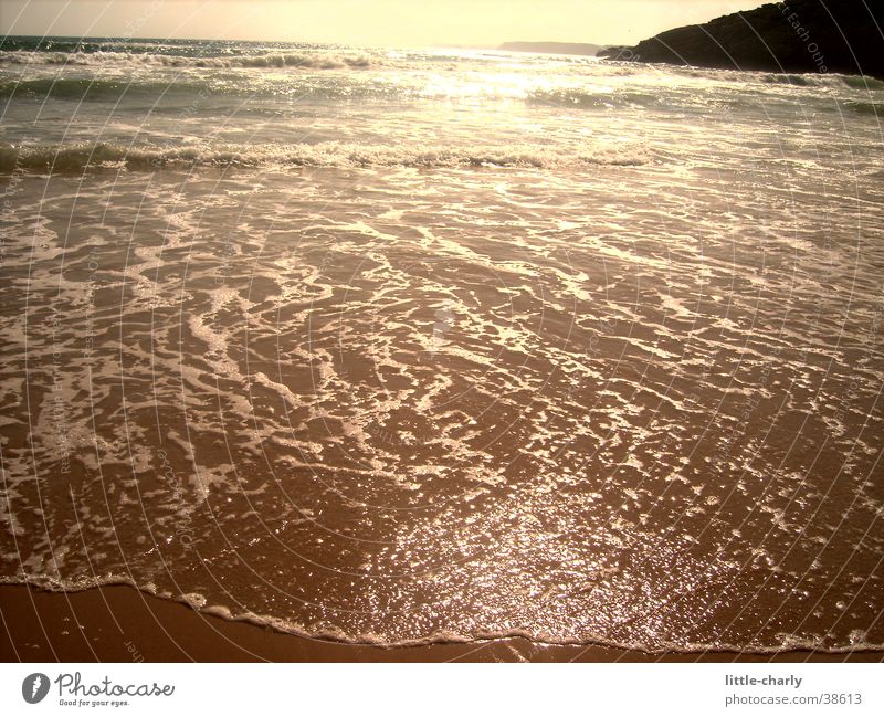 water shimmer Atlantic Ocean Water Glittering Sun