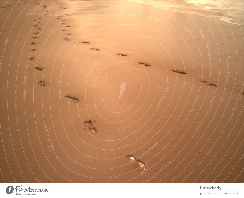 Traces in the sand Footprint Beach Sand Tracks Sun Barefoot