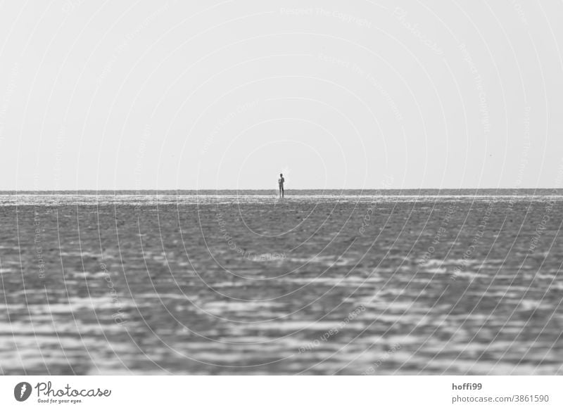 lonesome person at low tide in the Wadden Sea Human being Mud flats Walk along the tideland Exceptional North Sea coast Going by oneself Loneliness Winter Beach