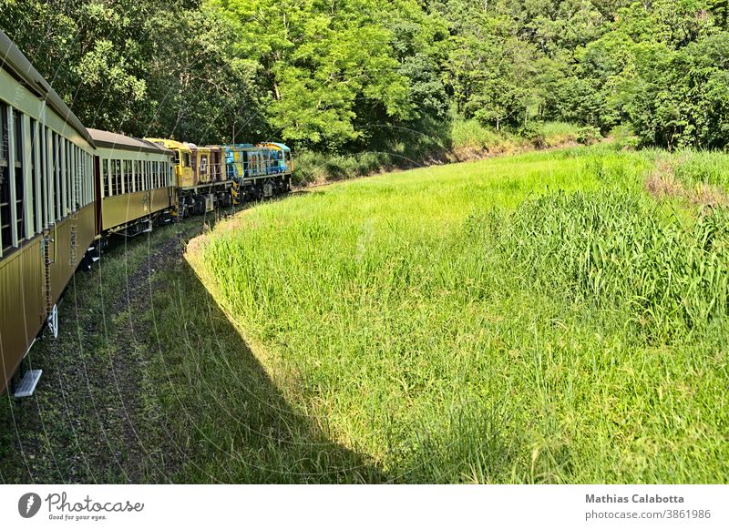 Kuranda scenic railway windling up the tracks kuranda tourism transport transportation forest australia train railroad cairns old nature kuranda scenic railway