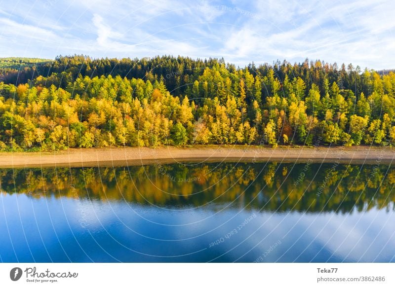 The autumn lake Autumn Forest reflection Drinking water Water Clouds Orange Yellow Sun