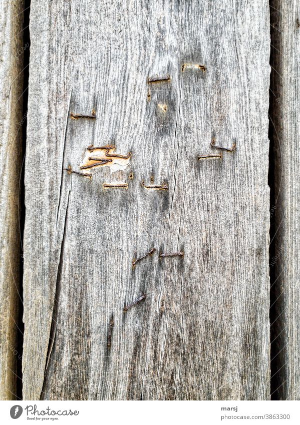 Old, flat and worn out. Rusty staples on weathered wooden board Staple moored Wood Simple Futile Useless Crack & Rip & Tear Texture of wood Subdued colour