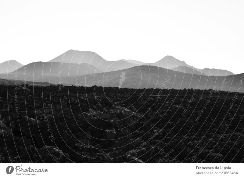 Lava field on Lanzarote Volcano Landscape Black & white photo Exterior shot Vacation & Travel Deserted Island Mountain Nature Far-off places Copy Space top