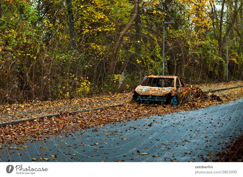 Car wreck in autumn car Broken broken corrupted Rust gutted scrapped Autumn Autumn leaves Foliage colouring Wrecked car off Street Country road Scrap metal