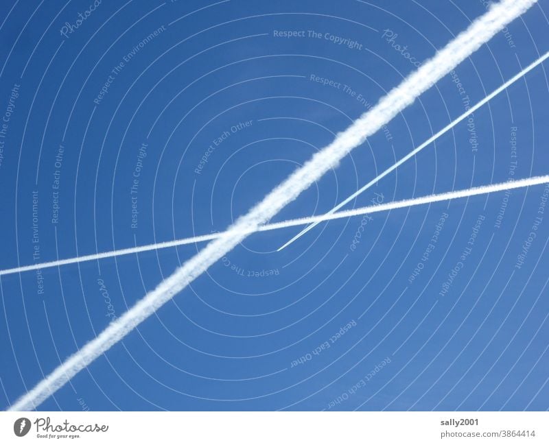 celestial crossroads... Vapor trail Airplane air traffic Sky Blue sky Contrast Aviation Flying Clouds Vacation & Travel Beautiful weather Worm's-eye view lines