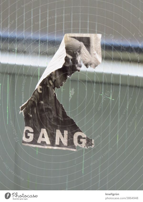 gang stickers Broken Poster torn down Corridor Glass wall Window Communication pasted Paper Advertising Transience Structures and shapes Decline Old Close-up