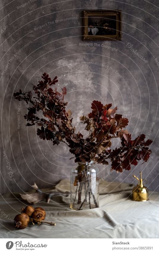 Bouquet of dried flowers in a glass vase. brown home woman bouquet nature beautiful beauty plant green petal color table vintage decoration background blossom