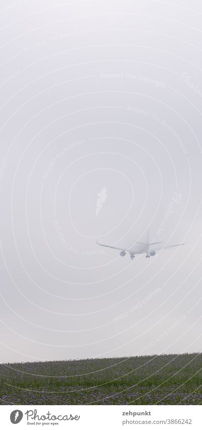 An Airbus A359 disappears into high fog during landing approach. Airplane Fog High fog Meadow Flower meadow clear Aviation Airport Airplane landing Clouds