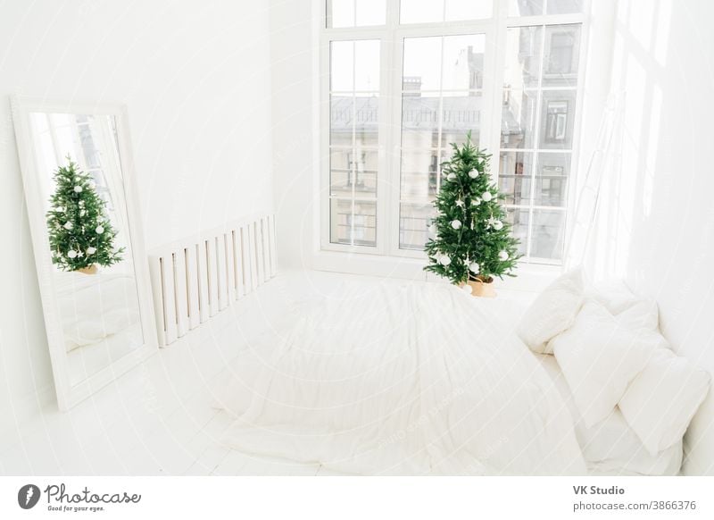 Cozy winter and Christmas lifestyle with fir branches, warm handmade socks  , ginger cat and envelope on white blanket, top view. Frame - a Royalty  Free Stock Photo from Photocase