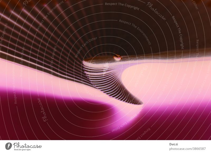 vertebra structure Abstract fanned out pink Light