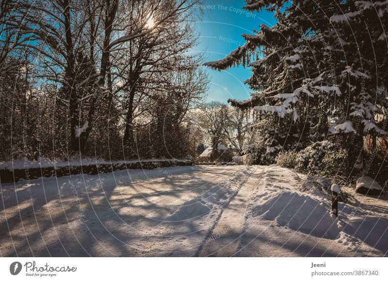 Snowy snowy road in a small village on a sunny cold winter day - the sky is blue - the sun is shining - snowy tree tops along the way **100** Winter Street