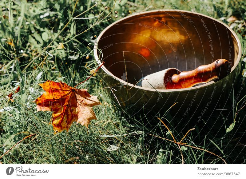 Singing bowl with mallet and autumn leaf in the grass singing bowl clappers Grass Leaf Autumn Sun Meditation Wellness relaxation Sound Bowl Contentment Calm