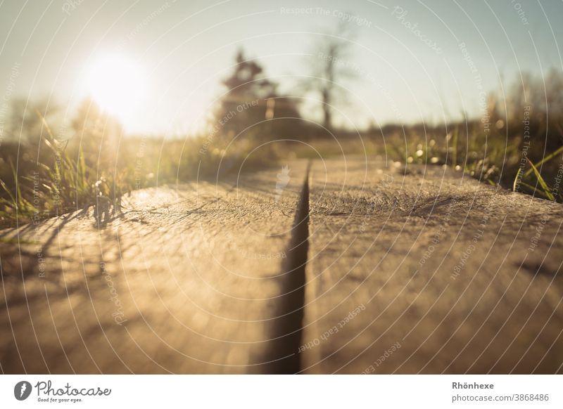 Frog's-eye view over the plank bridge, towards the sun Worm's-eye view boardwalk Landscape Colour photo Nature Deserted Environment Sky Plant Beautiful weather