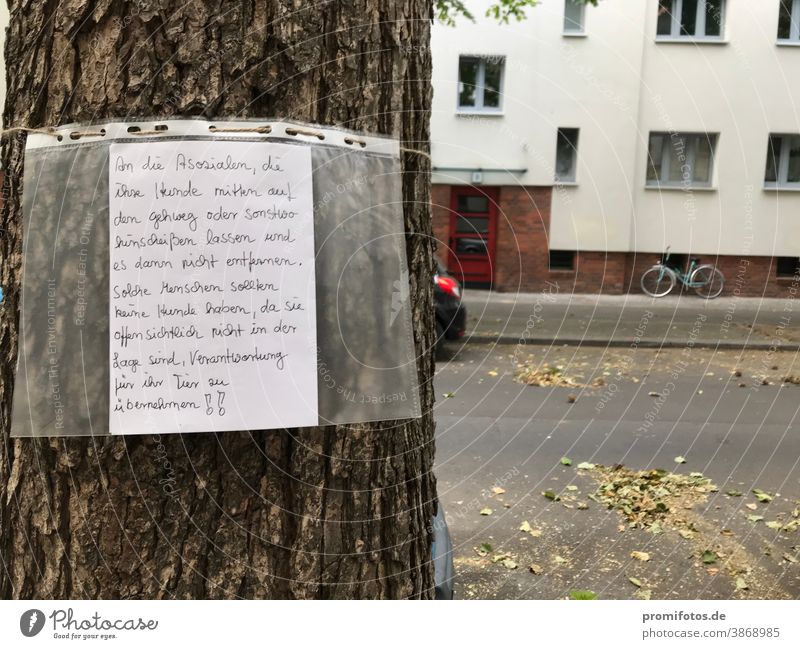 Written notice on a tree in Berlin against dog excrement on sidewalks. Photo: Alexander Hauk Notice flyers Tree daylight Capital city City animals Animal Dog