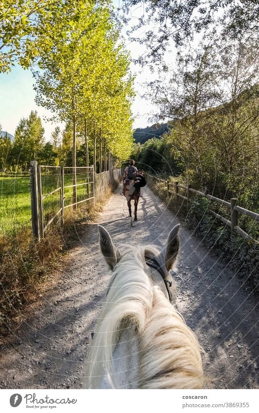 Rider taking a ride with his horse. First view. active adult adventure animal beautiful calm cloud dressage equestrian equine explore forest fpv freedom grass