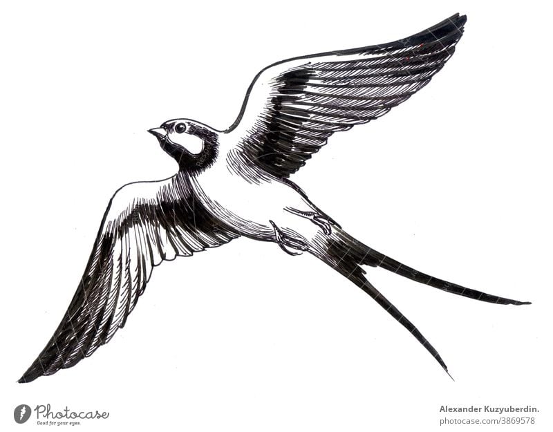 Share 80+ flying bird pencil sketch - seven.edu.vn
