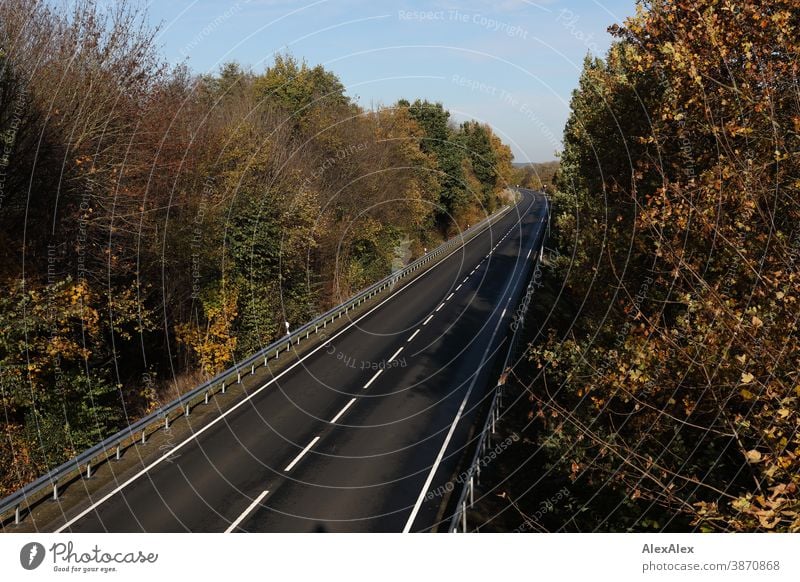 Landscape photograph of an empty street surrounded by trees and crash barriers in autumn Street Country road Motorway Freeway Median strip Tar Crash barrier
