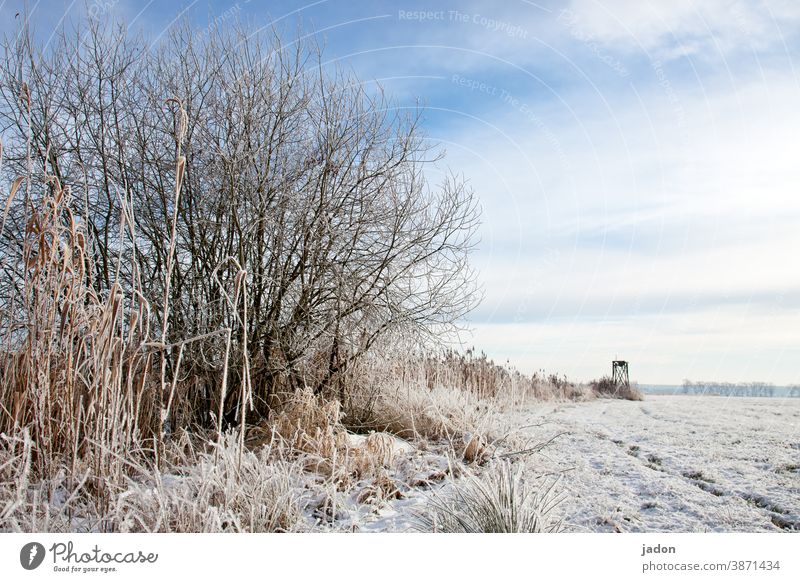 Winter Background Of Snow And Frost With Free Space For Your