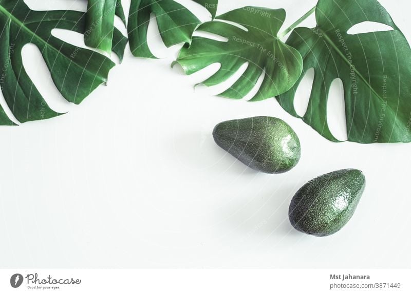 Avocado with tropical leaves on white background avocado salad isolated fresh food fruit green health healthy nature organic summer vegetarian vitamin oil cut