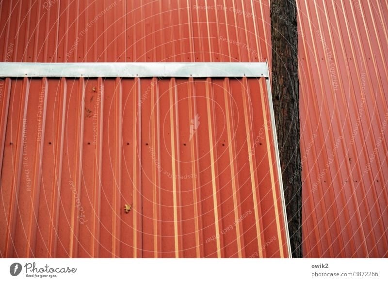 parallel world Roof Tin Red Simple Bright Colours Pitch of the roof Tree interference factor barge in Intrusive Deserted Exterior shot Colour photo Detail