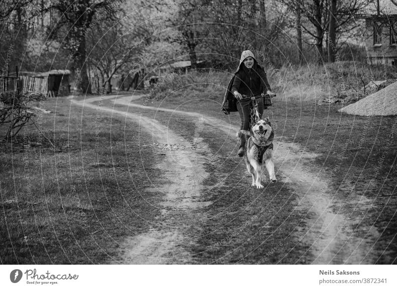 Bikejoring dog. Husky sled dogs pull a bike with his best friend. Action active animal autumn beautiful bicycle breed canine championship competition cute doggy