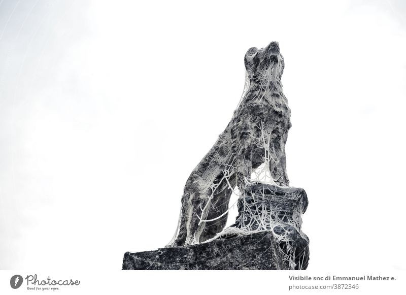 dog statue covered with filaments of frost hunter bohemia aged stone recollection nice tradition christianity decoration religion memorial czech headstone
