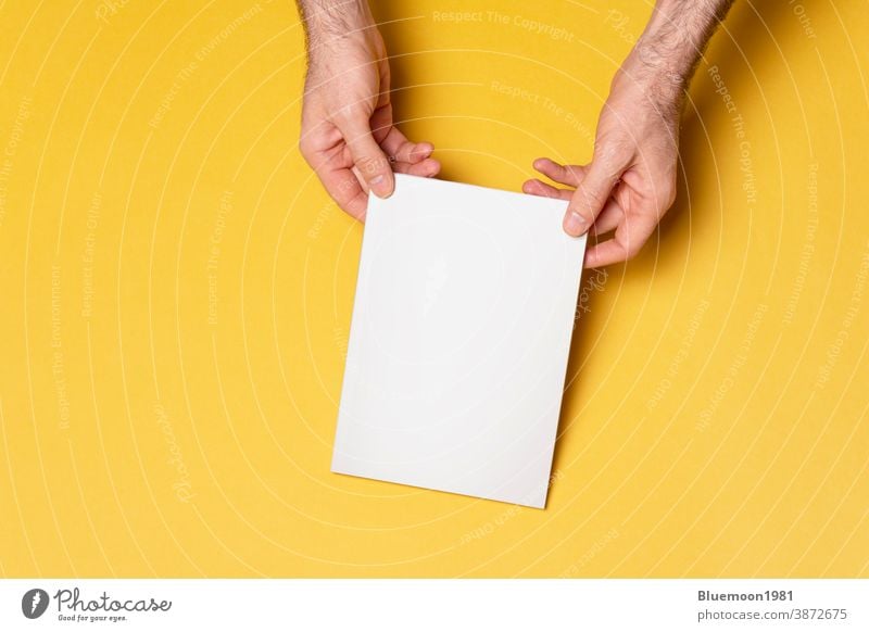 Male hands holding a closed book-catalog with blank cover on yellow background mock-up editable change brand paper document male advertising business content