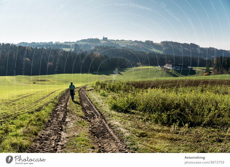 Hiking through the landscape of the Mühlviertel Landscape Woman Rear view Nature Hill hilly country off Autumn Green Grass trace Forest Austria Sun Weather