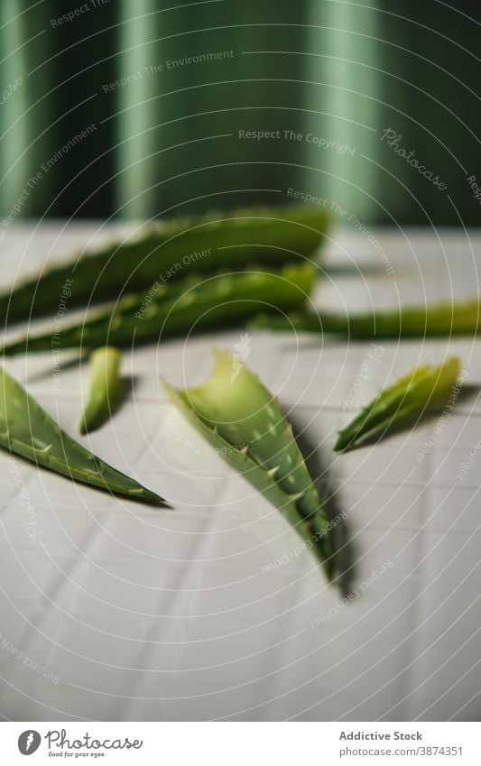 Green aloe leaves on white table plant leaf green bright segment detail natural organic creative piece fresh flora botany herb nature beauty treat cosmetic