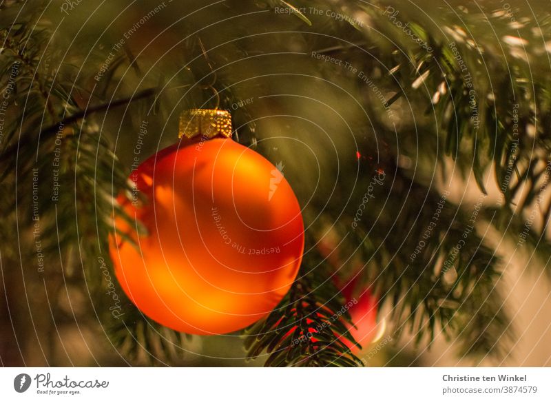 orange christmas tree ball hangs on the christmas tree Glitter Ball Christmas & Advent Christmas decoration Christmas tree decorations Sphere Tradition