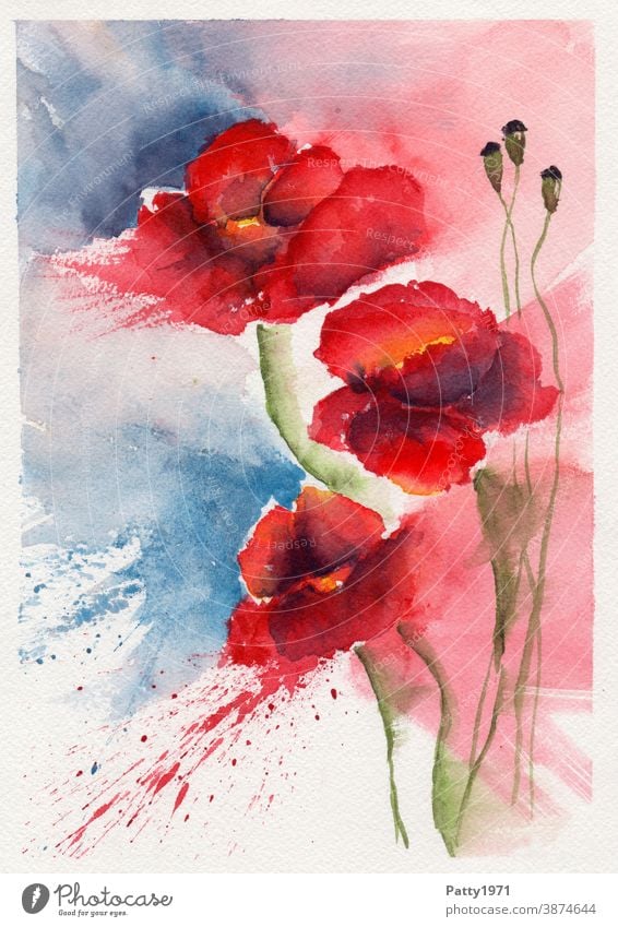Watercolor painting. Three abstract poppy blossoms with splashes of paint Watercolors Poppy Flower Blossom Corn poppy Creativity Painting (action, artwork) Art