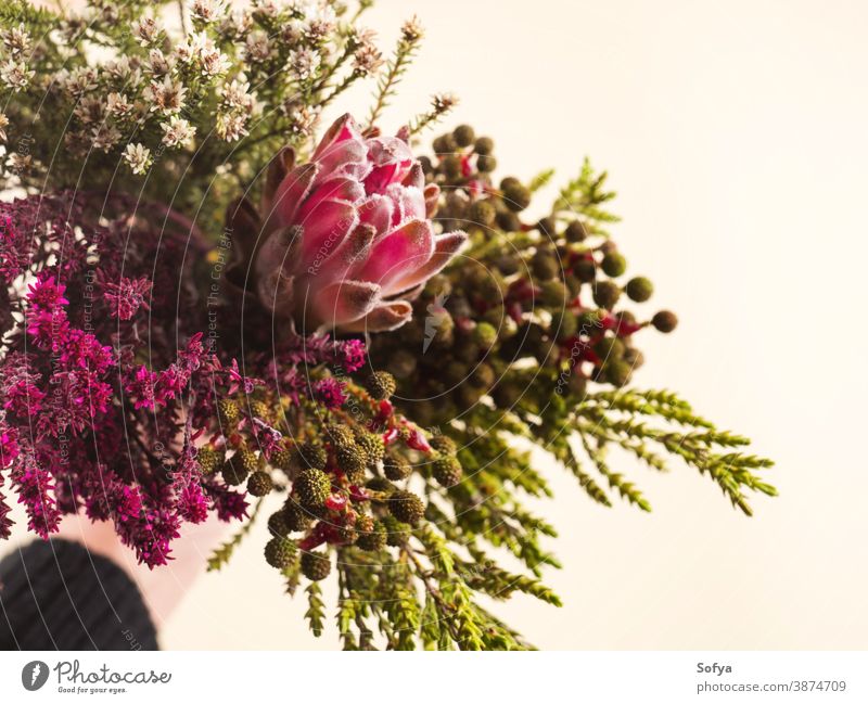 Beautiful autumn flowers bouquet in female hand. background pink protea field floral winter bunch mixed wild spring nature woman vintage arrangement texture