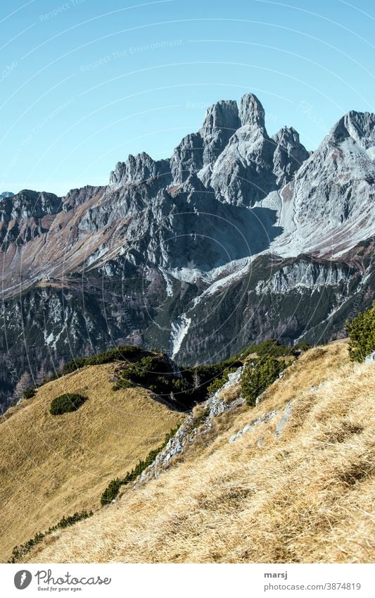 Autumn in the mountains. With the bishop's mitre Mountain Hiking Alps Rock Peak Landscape Nature Vacation & Travel Tourism Austria Autumnal Gray
