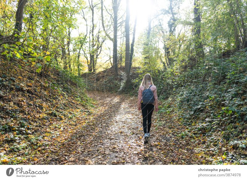 Young woman strolls through autumnal forest Forest To go for a walk Woman Autumn Nature Tree Landscape Lanes & trails Hiking Going Relaxation Loneliness
