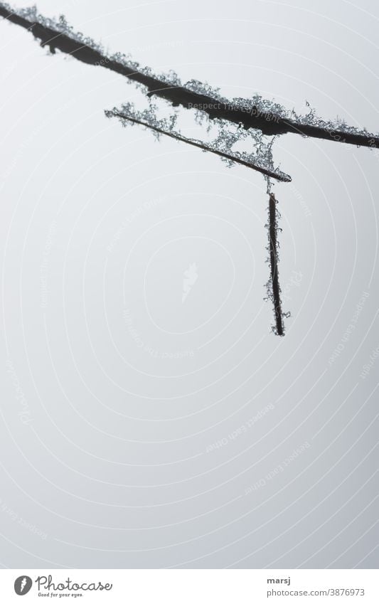 Hanging out with each other does not always have to be just chilling. Winterly decorated ice installation of nature Frozen ice crystals strange Cold Ice Frost