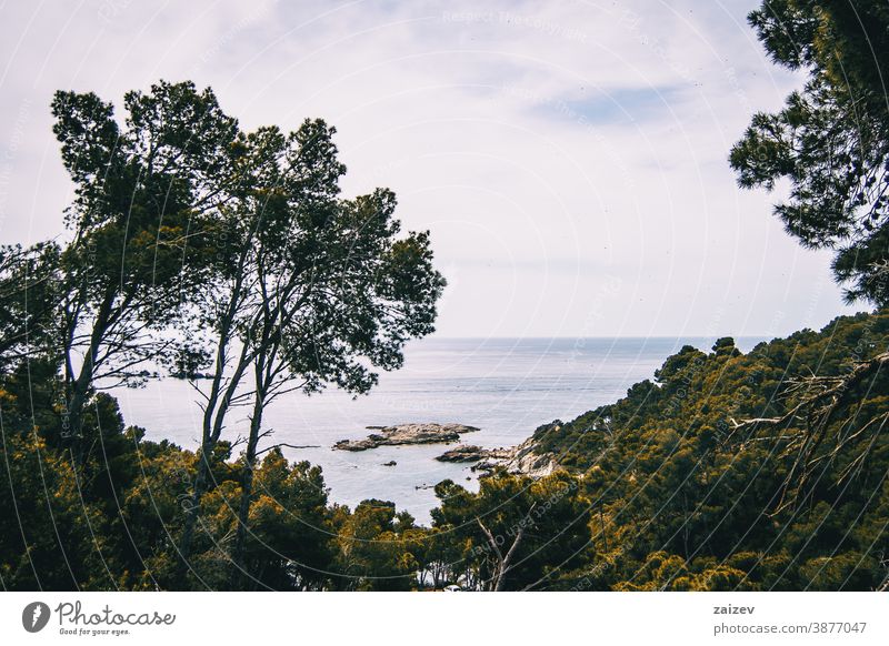 Landscape with views of the sea and some vegetation costa brava calella de palafrugell palamós landscape water rocks mediterranean catalonia nature natural