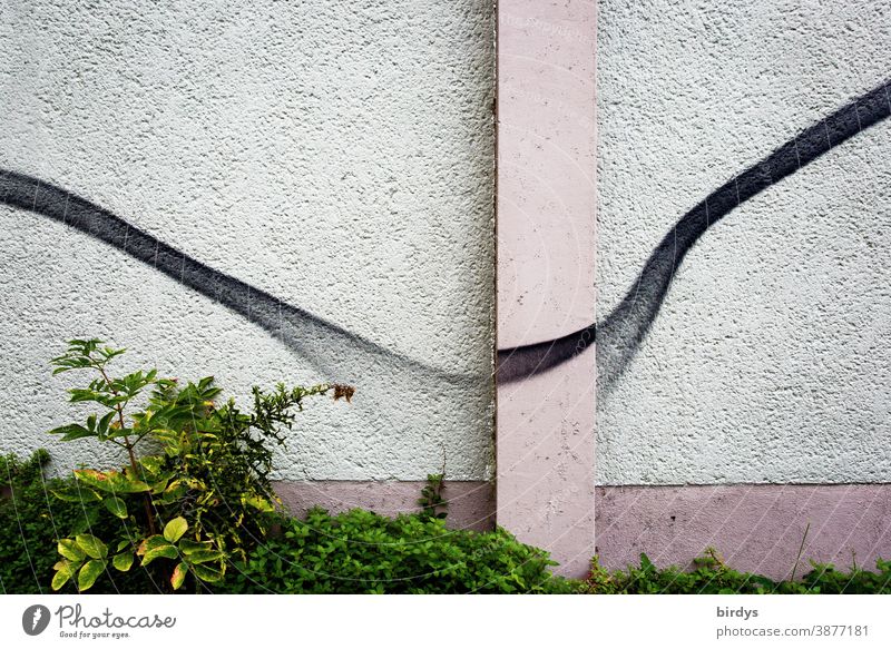 Grafitti on a house wall, curved line graffiti Street art Line Curved graphically Foliage plant