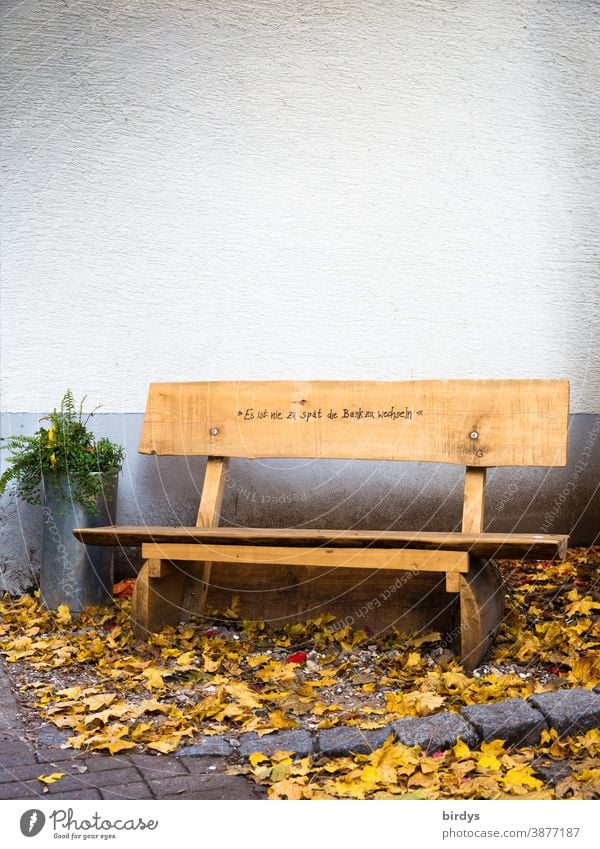 public wooden bench, seat with the inscription "it is too late to change the bench " ambiguity Bench Wooden bench Public Seating Characters Humor Autumn leaves