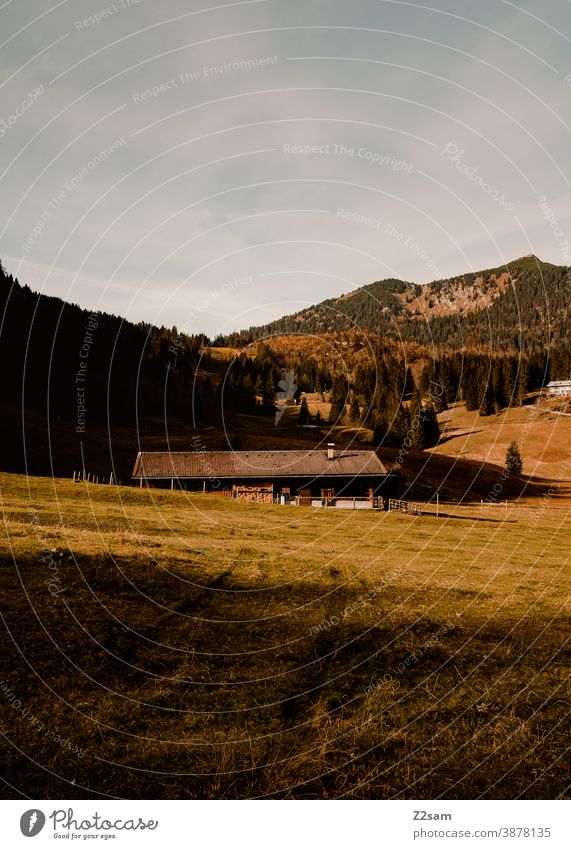 Mountain landscape in the Bavarian Alps with hut schliersee sharpened Hiking autumn colours Autumn outtdoor Trip Movement hiking tour Sky Blue variegated